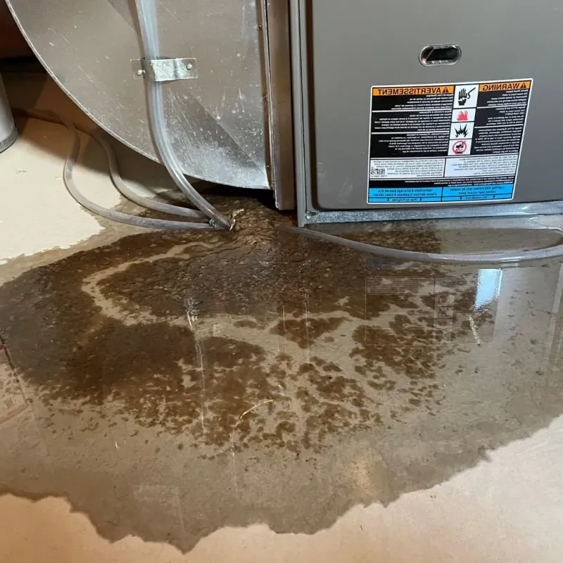 Pipe Burst and Leak Restoration in Closter, NJ