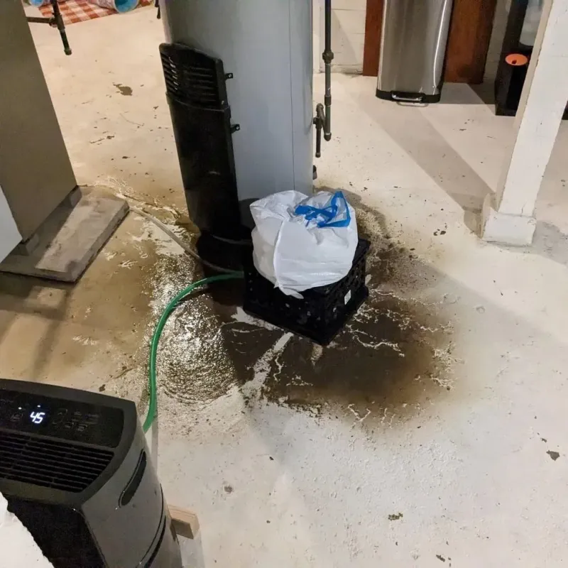 Sewage Backup Cleanup Service in Closter, NJ